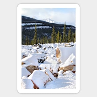 Autumn in The Rockies: The First Snow: Jasper National Park Sticker